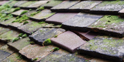 Westonbirt roof repair costs
